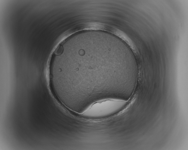 X0000102391130200808081222