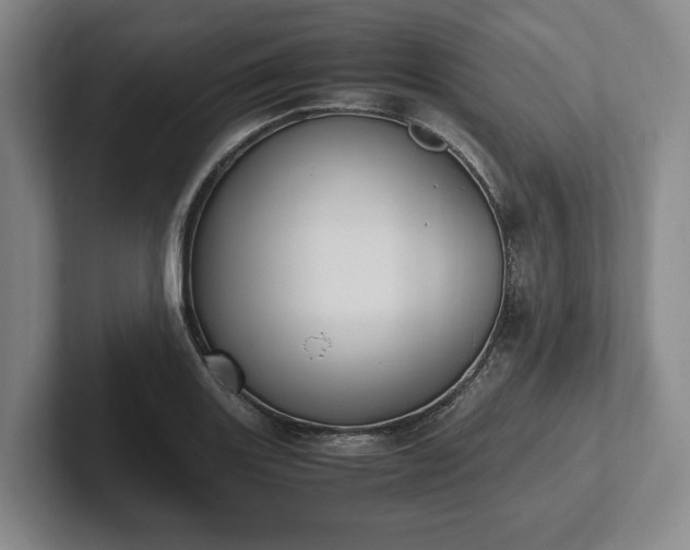 X0000102391131200808081222