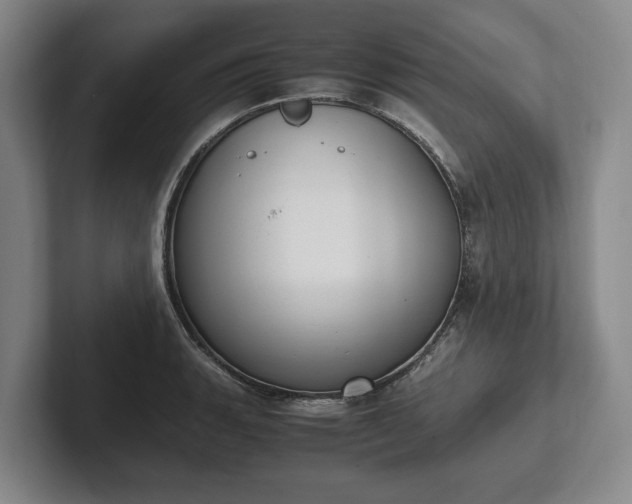 X0000102391135200808081222