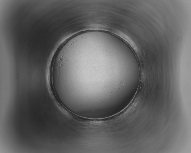 X0000102391136200808081222