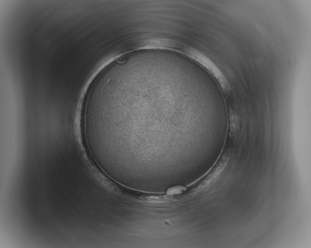 X0000102391138200808081222