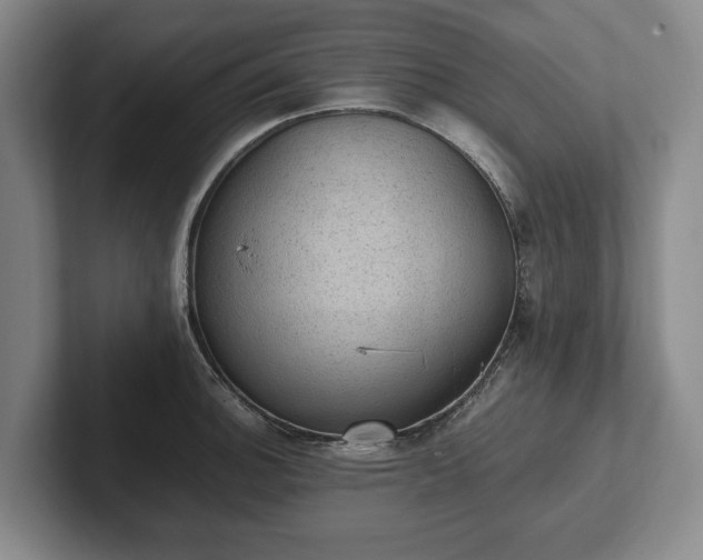 X0000102391140200808081222