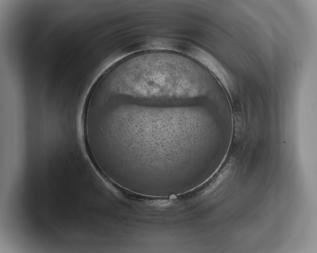 X0000102391141200808081222