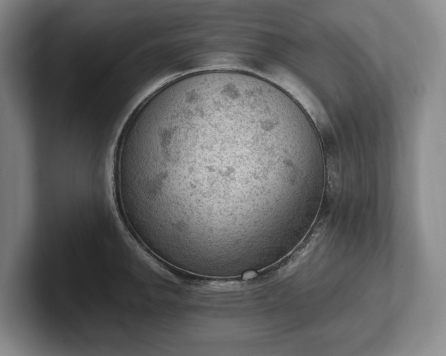 X0000102391142200808081222