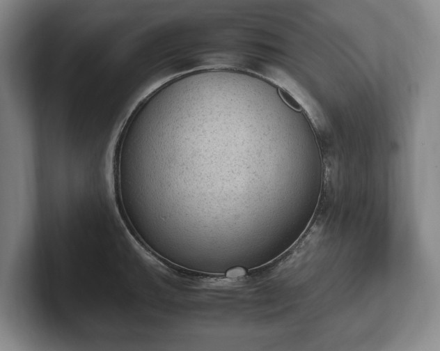 X0000102391143200808081222