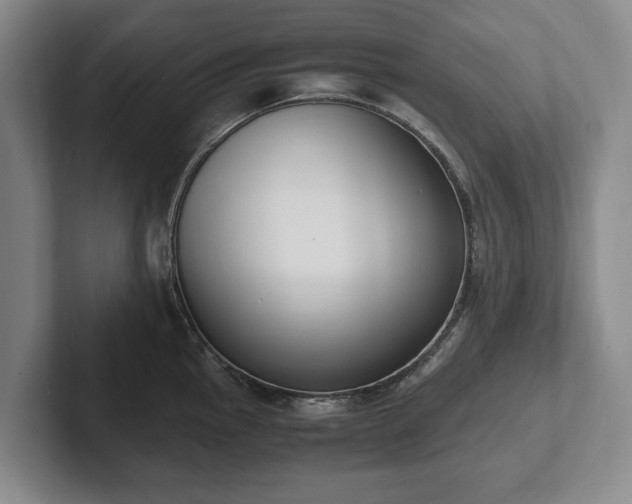 X0000102391145200808081222