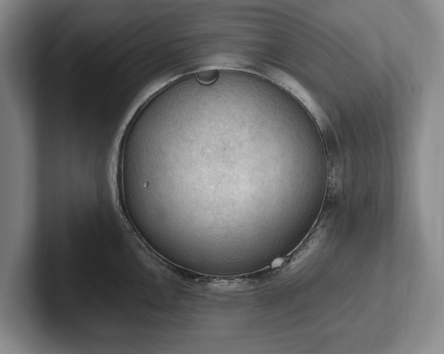 X0000102391146200808081222