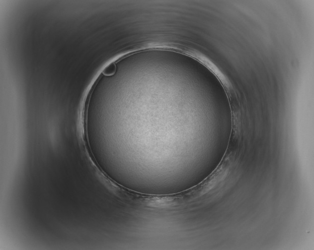 X0000102391148200808081222