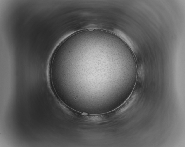 X0000102391149200808081222