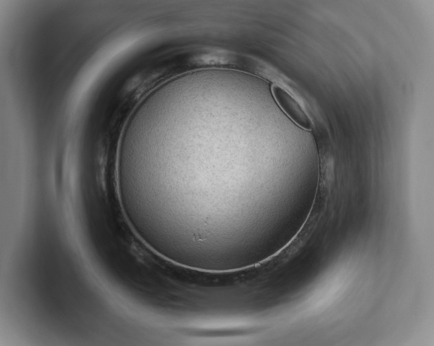 X0000102391151200808081222