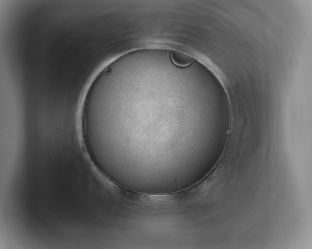 X0000102391152200808081222