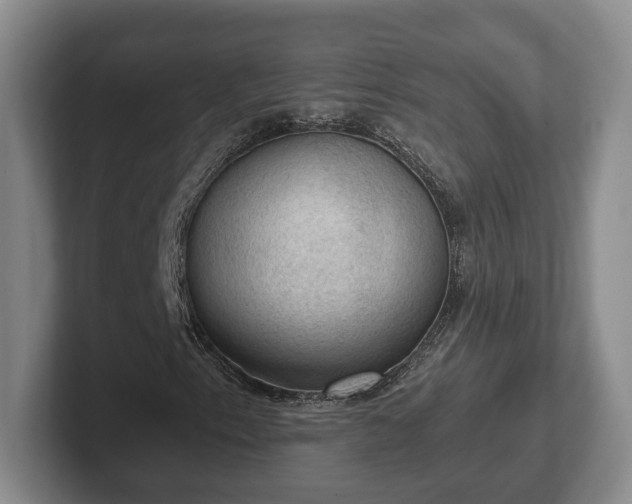 X0000102391153200808081221