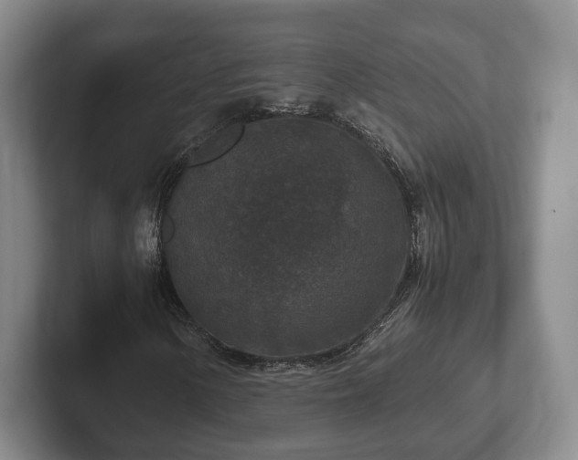 X0000102391154200808081221