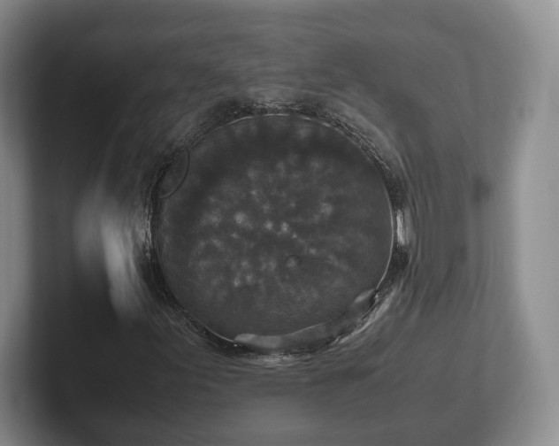 X0000102391155200808081221