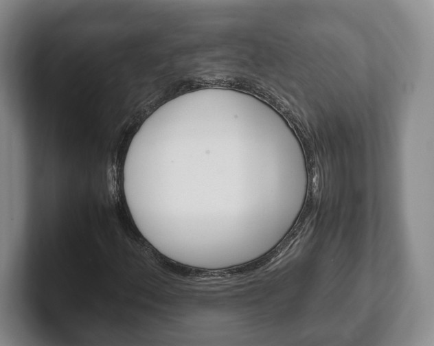 X0000102391156200808081221