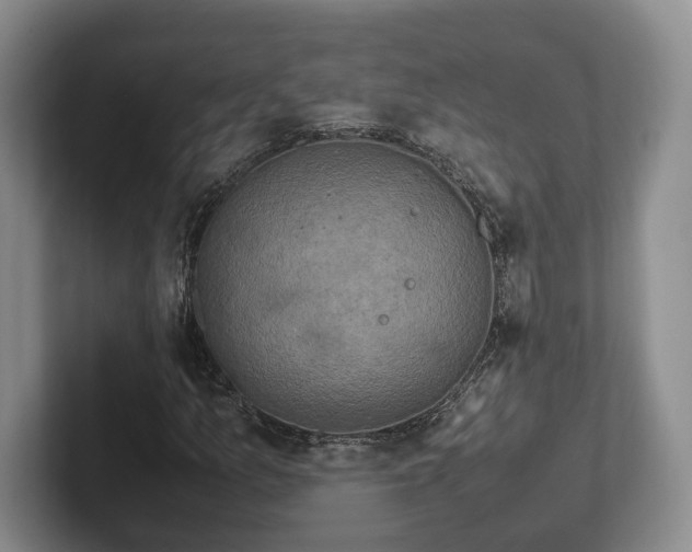 X0000102391157200808081221