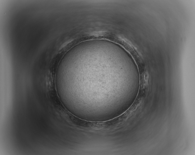 X0000102391158200808081221