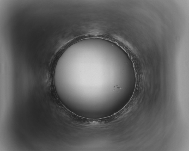 X0000102391160200808081221