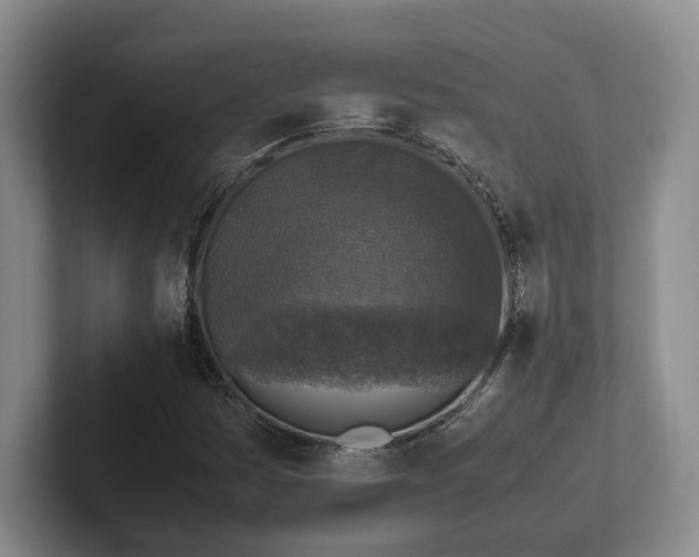 X0000102391161200808081221