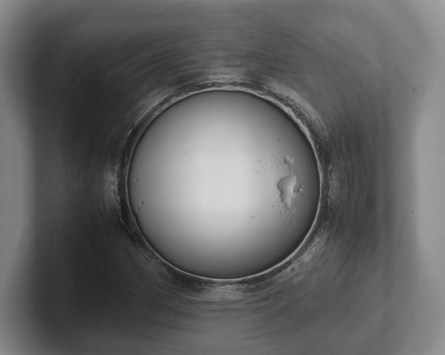 X0000102391162200808081221