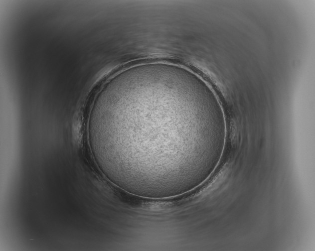 X0000102391163200808081221