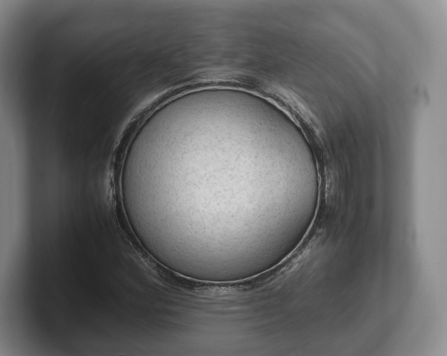 X0000102391164200808081221