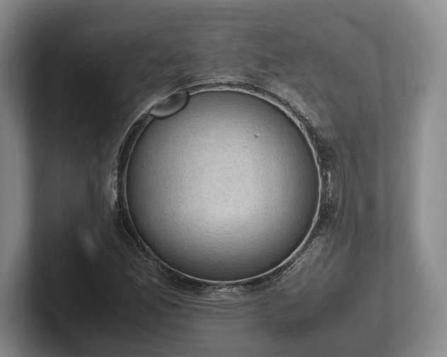 X0000102391165200808081221