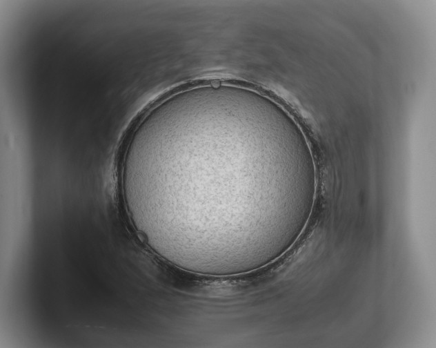 X0000102391167200808081221