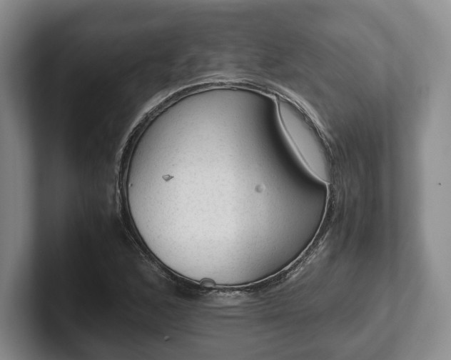 X0000102391168200808081221