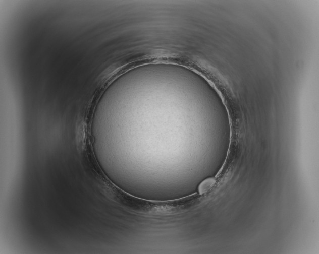 X0000102391169200808081221