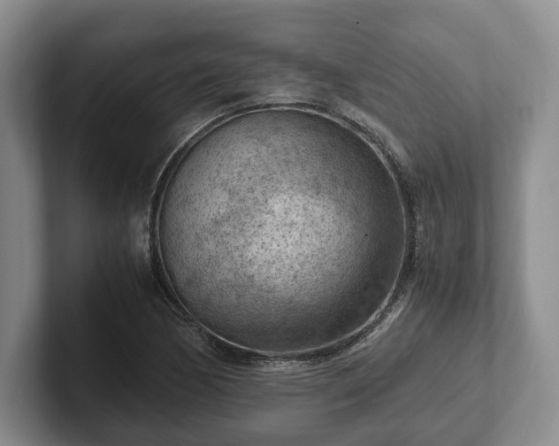 X0000102391170200808081221