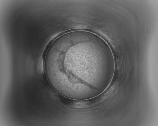 X0000102391171200808081221