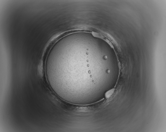 X0000102391172200808081221