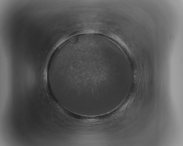 X0000102391173200808081221