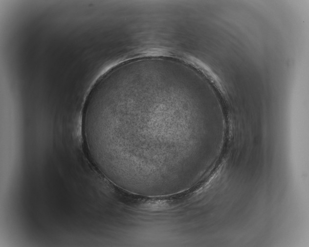 X0000102391174200808081221