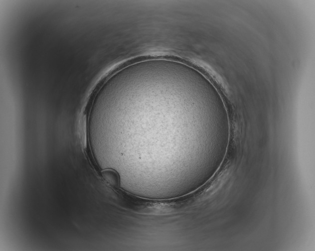 X0000102391175200808081221