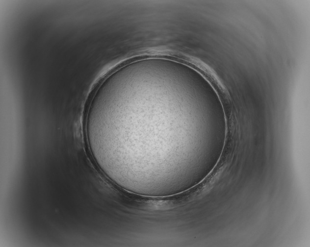 X0000102391176200808081221