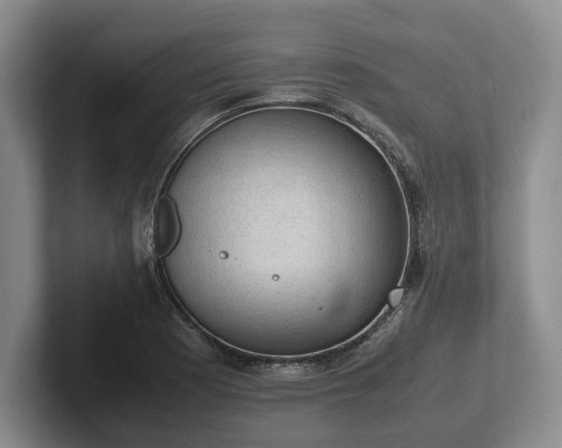 X0000102391177200808081221