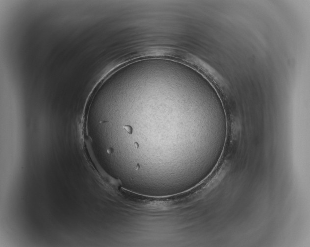 X0000102391178200808081221