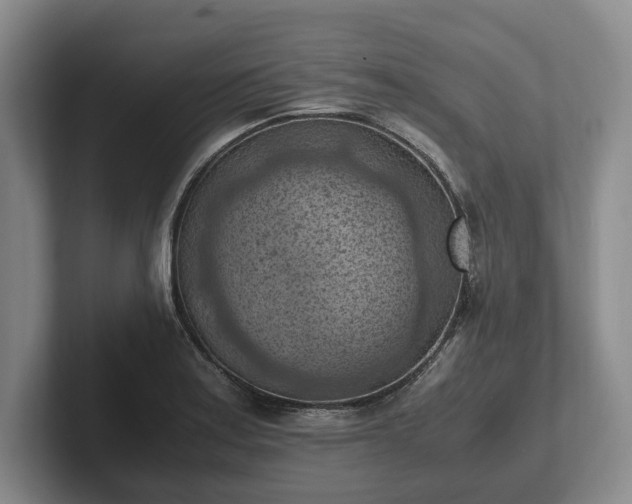 X0000102391179200808081221