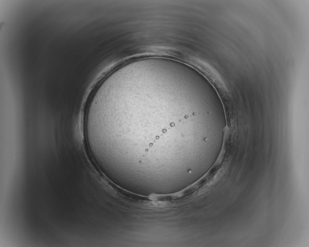 X0000102391180200808081221