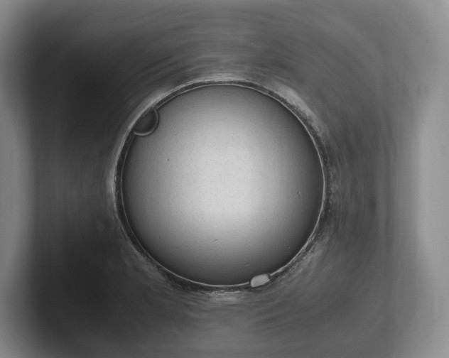 X0000102391181200808081221