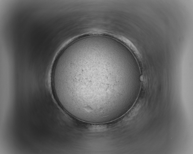 X0000102391183200808081221