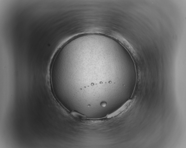 X0000102391184200808081221