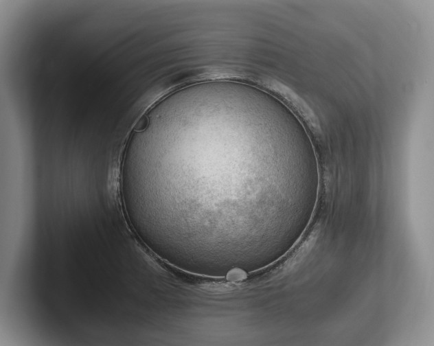 X0000102391185200808081221