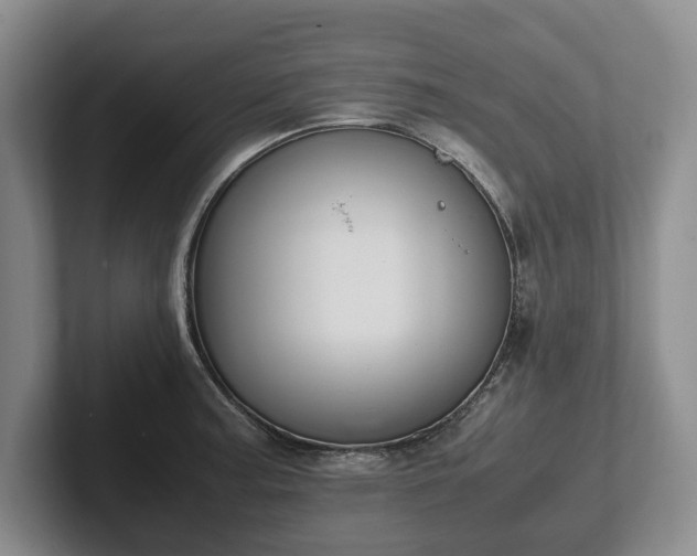 X0000102391187200808081221