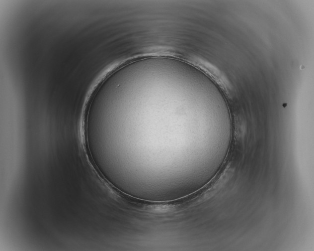 X0000102391188200808081221