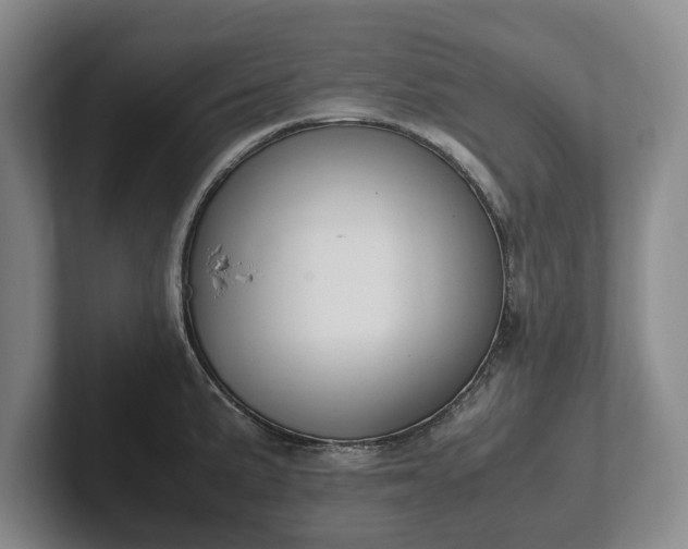 X0000102391191200808081221