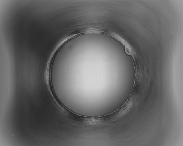 X0000102391195200808081221