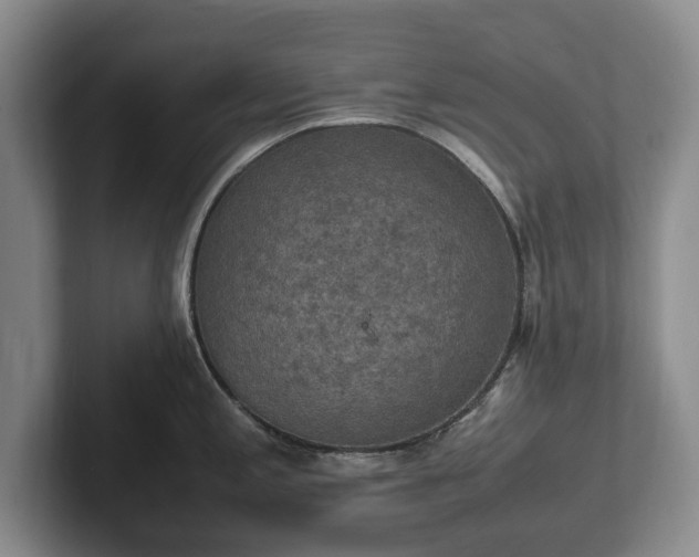 X0000102391197200808081221